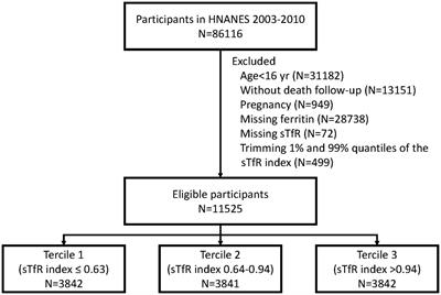 Association of soluble transferrin receptor/log ferritin index with all-cause and cause-specific mortality: National Health and Nutrition Examination Survey